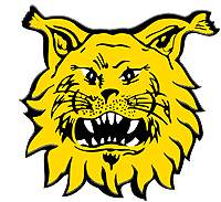 Ilves logo